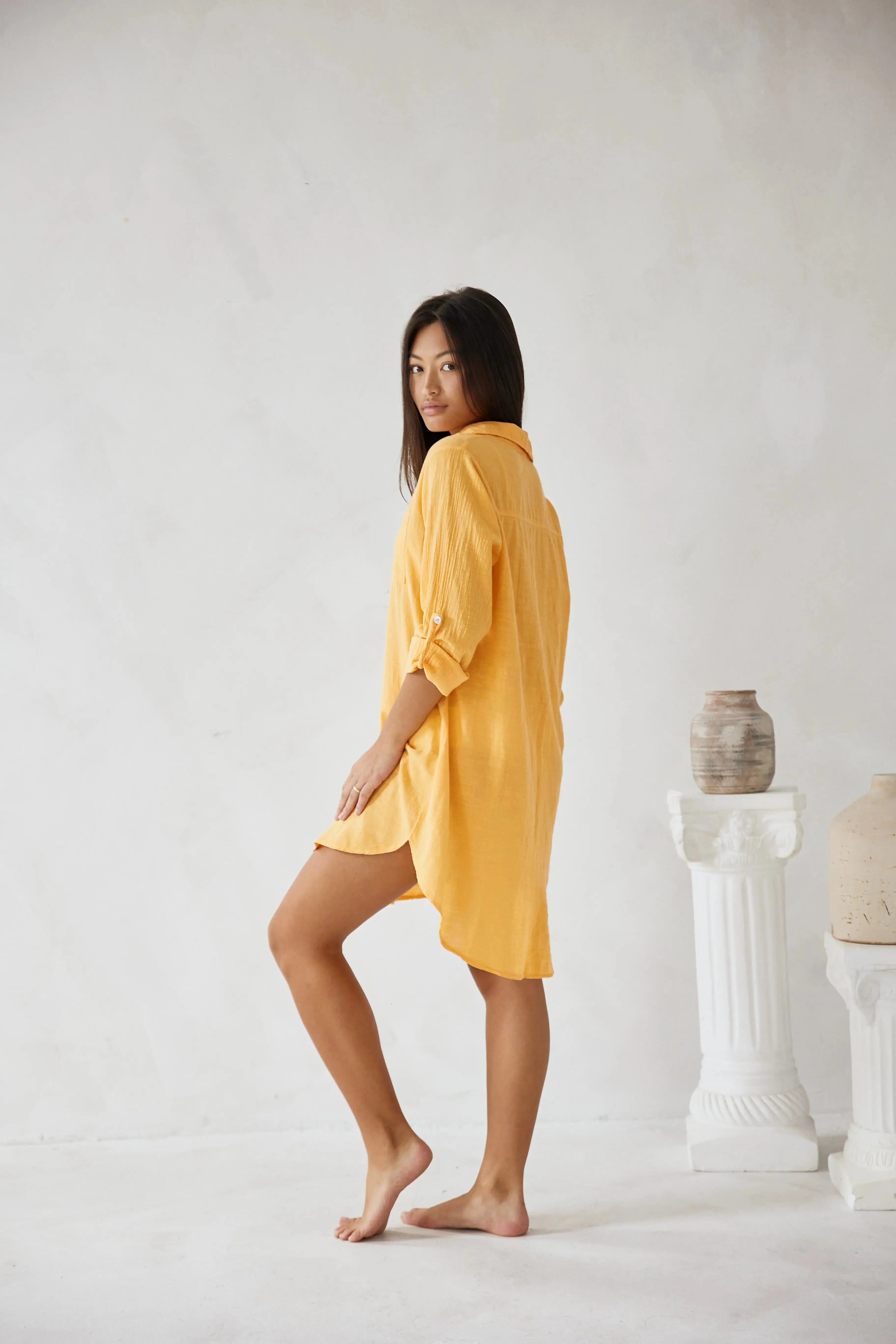 Cabana Shirt Dress 